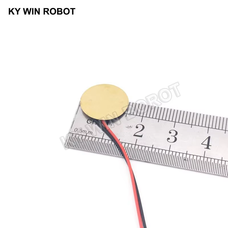 10 Peças de Placa de Cerâmica  - R/Diy Electronics avaliação e preço